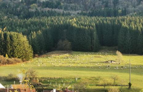 Ferienwohnung Blick Rappenstein - Foto 17
