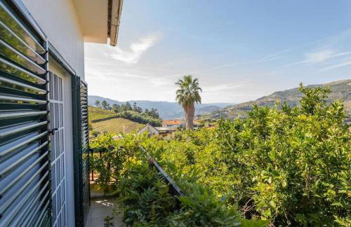 Casa Dona Aninhas - Douro - Foto 22