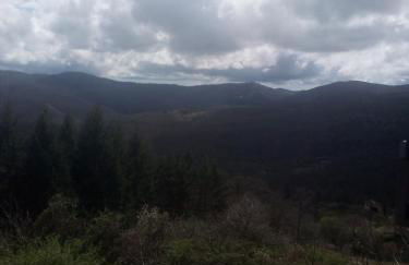 Magrignano - Foto 14