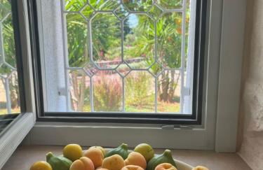 Trullo in vigna - Foto 15