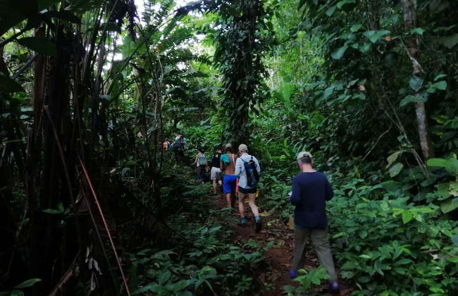 River Tundó Canoe Trip - Photo 8
