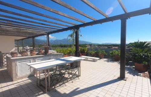 Michelangelo rta - Foto 15