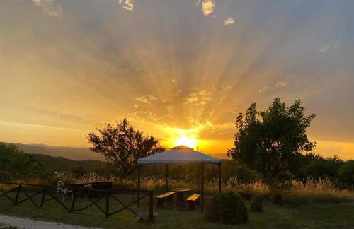 Agriturismo Cà Monduzzi - Foto 12