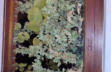 Wohnung mit perfekter Verkehrsanbindung - Foto 11