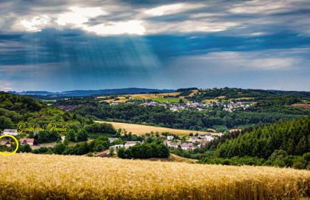 Gasthaus Paula Appartement - Foto 26