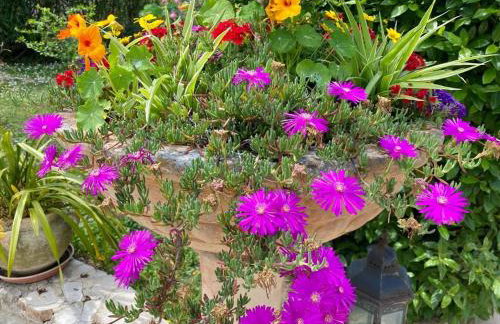 Le Mas des Pins - Foto 31