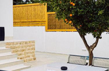 Arion Aegli - Foto 10