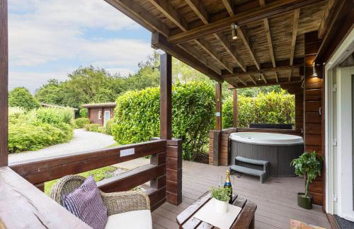 Lake View Lodge with Hot Tub - Foto 10