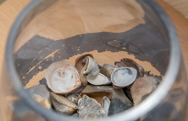 Appartement - Langstraat 29A Zoutelande - Photo 4