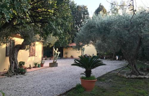 Bouganville in Villa Greco - Foto 34