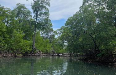 Chales Canto dos Pássaros Boipeba - Foto 60