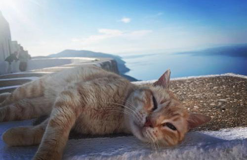 Folegandros-Cliffhouse - Foto 70