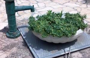 Apartment Tuja - Foto 36