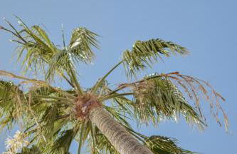 Apart-hotel Acapulco Ocean View - Foto 119