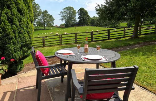 Poppy's Footprint - Photo 11