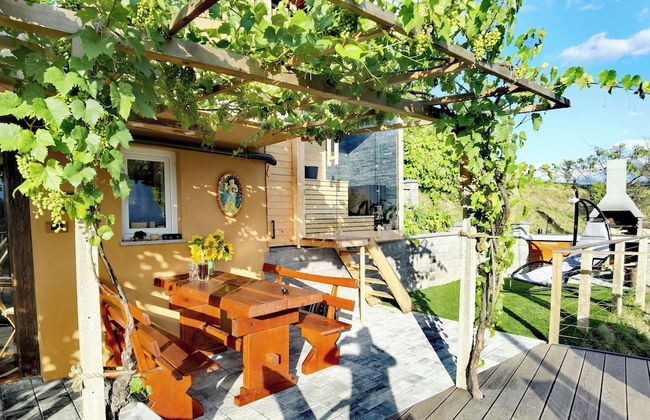 Vineyard cottage Soncni gric - Foto 12