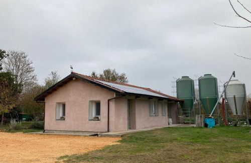 Pecore Ribelli - Photo 37