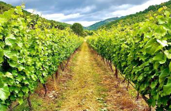 Casa Grande do Seixo - Foto 57