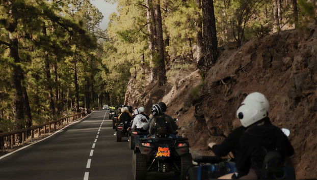 Teide Quad Bike Tour from Southern Tenerife - Foto 4