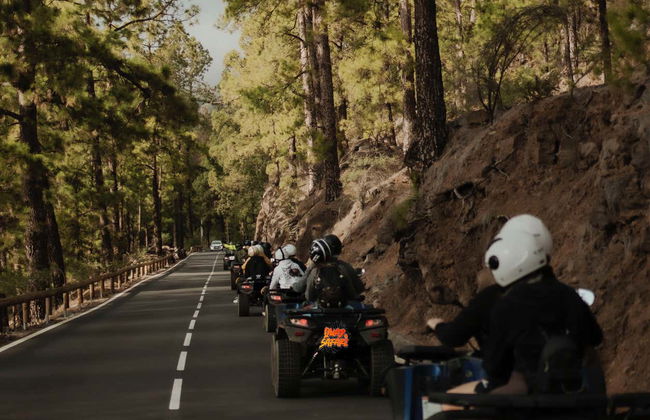 Tour en quad por el Teide desde el sur de Tenerife - Foto 6