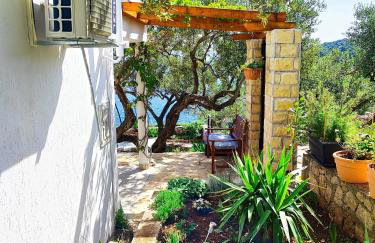 Weekend house Olive garden - Photo 14