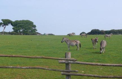 Villa FARO - new house, near beaches, heated pool, playroom, bbq, Salvore - Istria - Foto 75