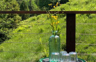 Domek w Szczyrku sauna & balia - Foto 41