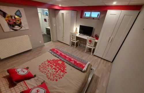 Résidence "Au Charron de Geis'pitz" en sous sol - Photo 5