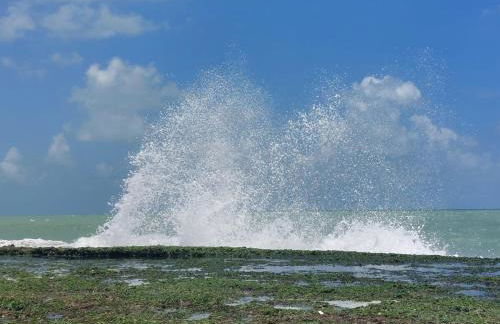 Aconchego com vista para o mar - Foto 63