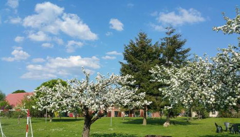 Landferienhof "Müritzufer" - Foto 4