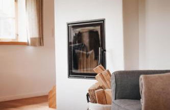 Chalet Zugspitze, Kamin, Tiere - Foto 2