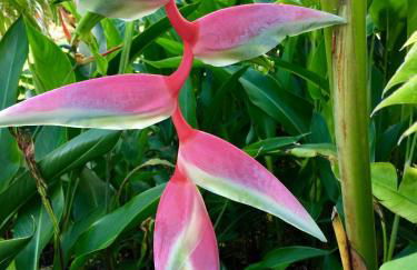 Pua Lani 2 Bedroom Home by RedAwning - Photo 99