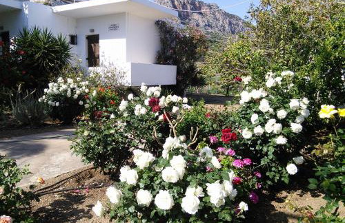 Protopapas - Foto 16