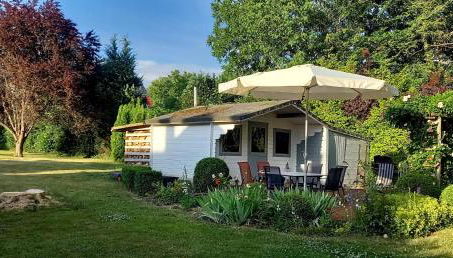 Reinecke Fuchs - Foto 5