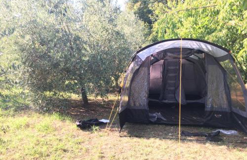 House in Nature - Foto 45