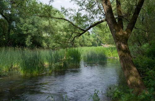 Ferienwohnung direkt an der Nied - Foto 35