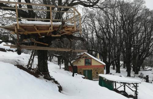 Hani Kastania - Chania retreat for families and groups for holidays and workshops - Foto 41