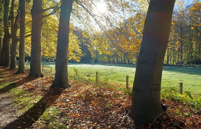 Bungalow met Omheinde Tuin op de Veluwe - Foto 29