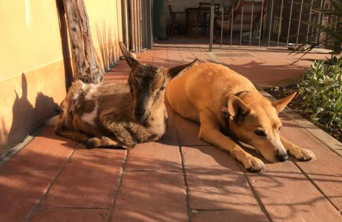 Agriturismo La Montina - Foto 33