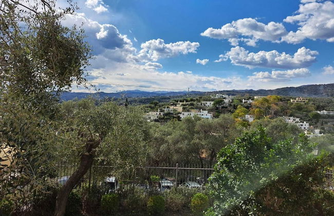 Gelsomino Garden - Foto 15