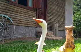 CHALÉ ESTÂNCIA OURO VERDE - Photo 27