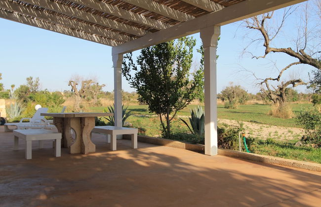 Country Salenthouse - Foto 16