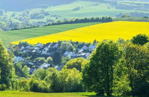 Ferienwohnung - Appartement "Painted Horse" im Herzen des Pfälzer Waldes - Foto 46