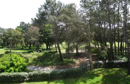 Location d Armelle - Moliets - Foto 57