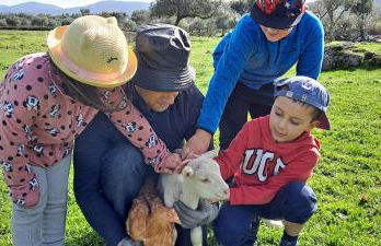 CASA DA VIZINHA, QUINTA DAS MEMÓRIAS - Photo 44