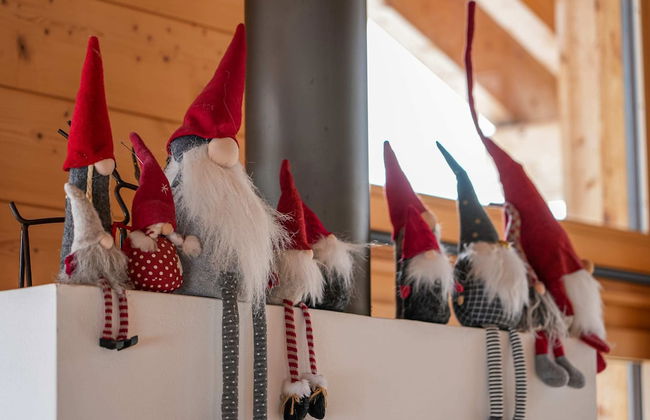 Chalet T'alpa - Photo 25