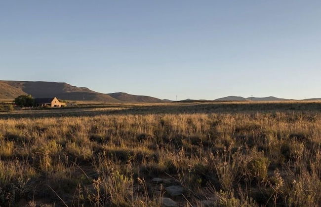 Sneeuberg Nature Reserve - Photo 37