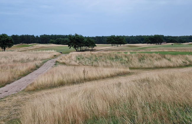 6 Person Holiday Home in Degeberga-by Traum - Foto 12