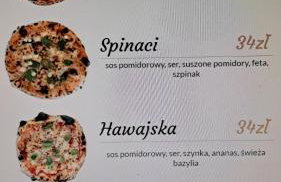 przy Zamku Ryn - Foto 16