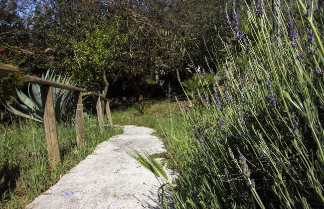 Agriturismo Tarantola - Foto 51